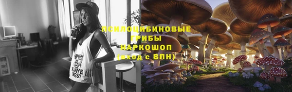 ГАЛЛЮЦИНОГЕННЫЕ ГРИБЫ Аркадак