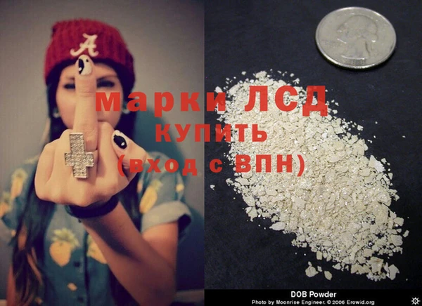 ГАЛЛЮЦИНОГЕННЫЕ ГРИБЫ Аркадак