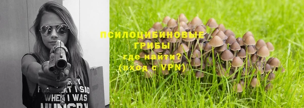 ПСИЛОЦИБИНОВЫЕ ГРИБЫ Армянск