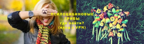 ГАЛЛЮЦИНОГЕННЫЕ ГРИБЫ Аркадак