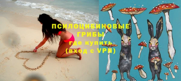 ПСИЛОЦИБИНОВЫЕ ГРИБЫ Армянск