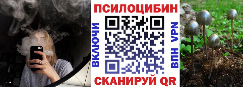 Галлюциногенные грибы мицелий hydra как зайти Ярцево